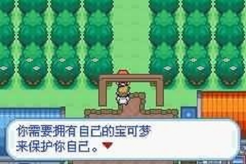 口袋妖怪梦的光点游戏安装包