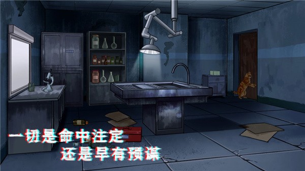 密室与猫通用版