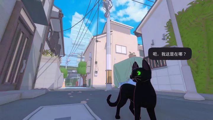 小猫咪大城市汉化版图2