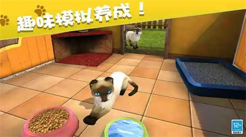 我的动物王国官方版