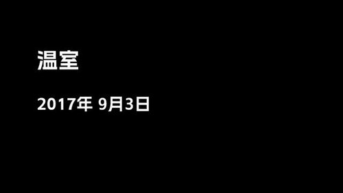 寂静之夜官方版
