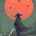 音速武士免费原版
