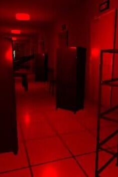 误入后室手游免费版