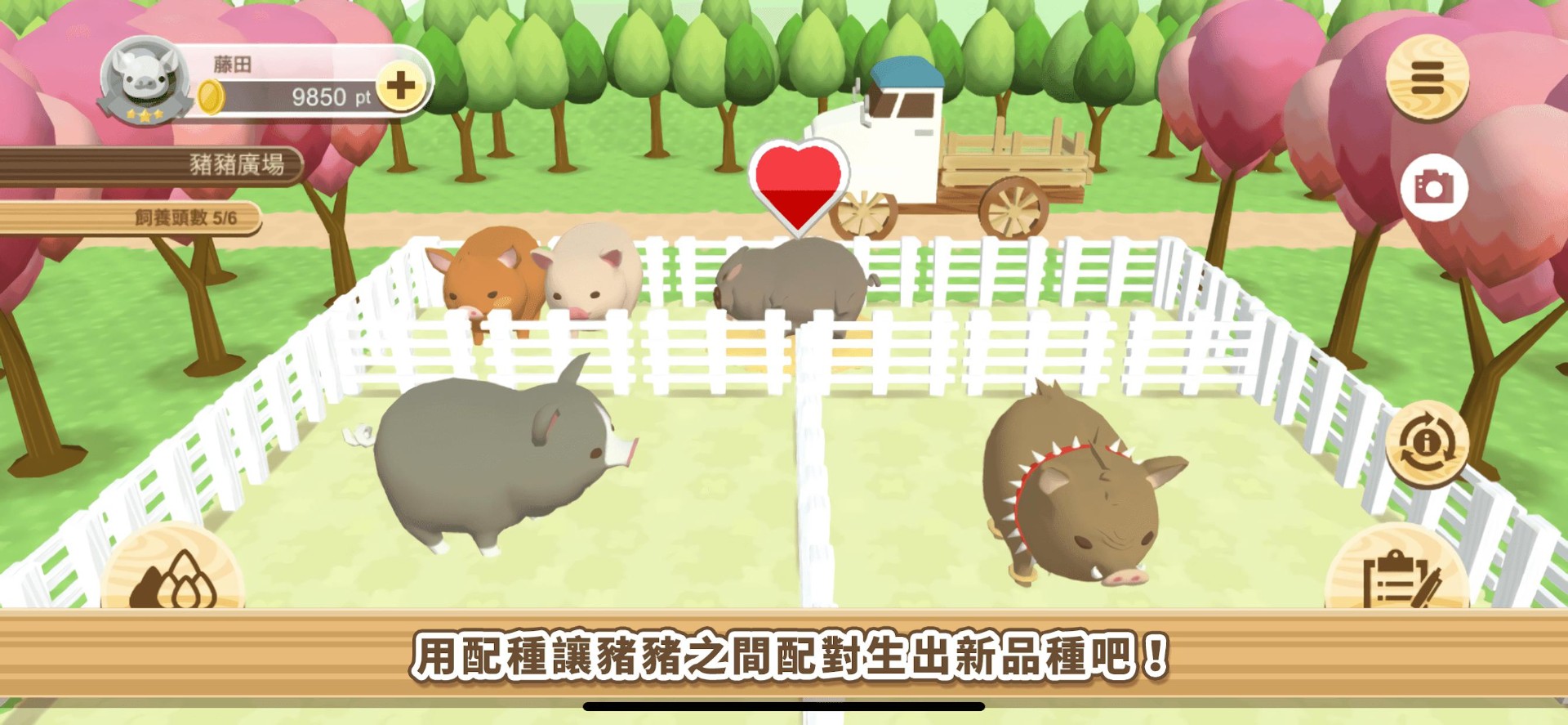 养猪场3D原版