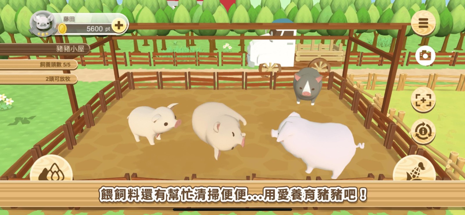 养猪场3D原版