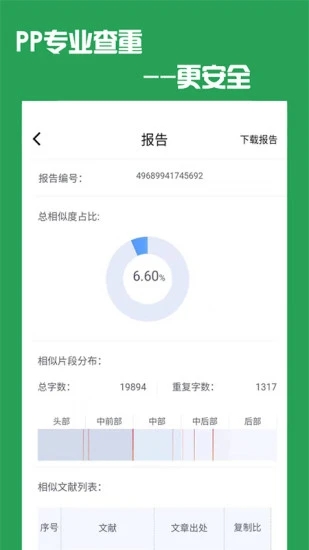 PP论文查重图3