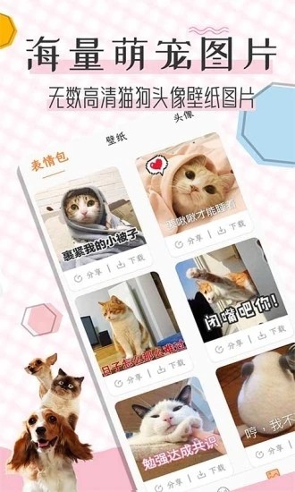 猫语翻译宝图1