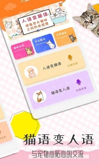 猫语翻译宝图2