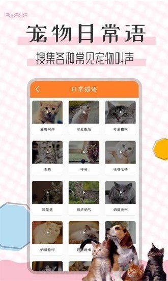 猫语翻译宝图4