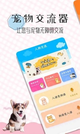猫语翻译宝图3