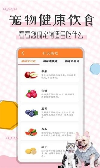 猫语翻译宝图5