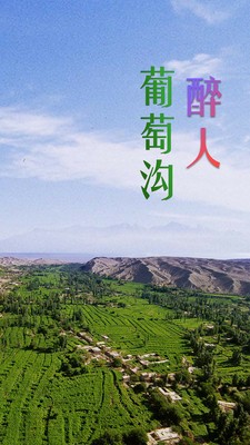 高昌好地方手机免费版图4