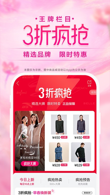唯品会小米定制版图3