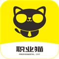 职业猫最新版