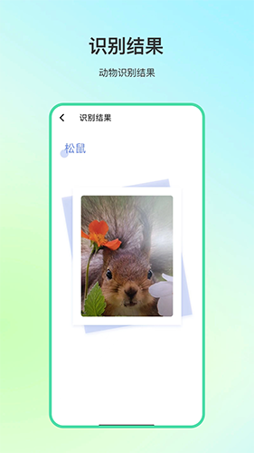 动物百科安卓免费版图2