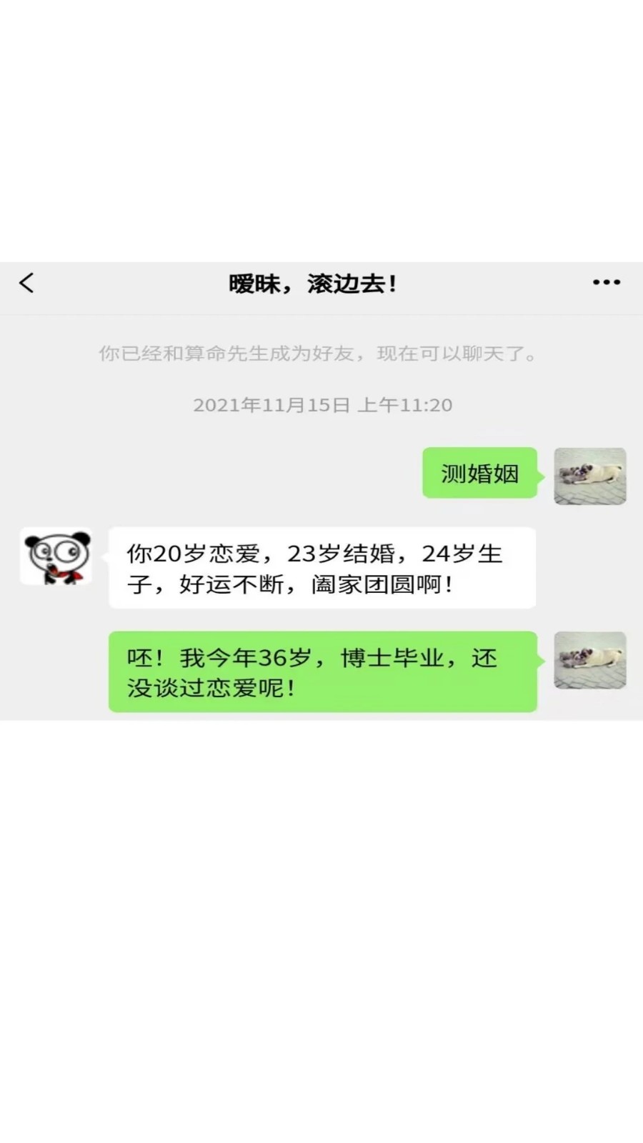 对话视频生成器图4