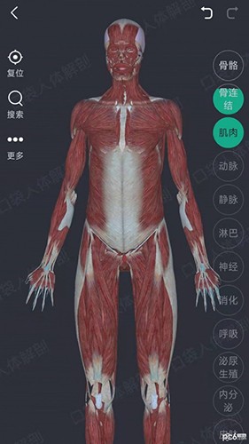 万康人体解剖官方版图1