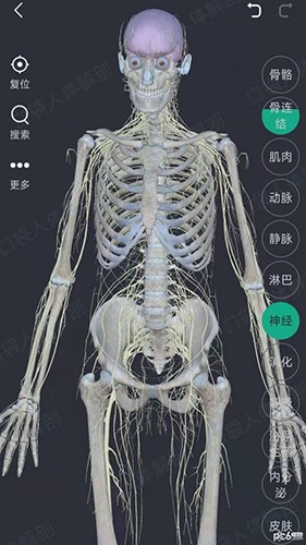 万康人体解剖官方版图3