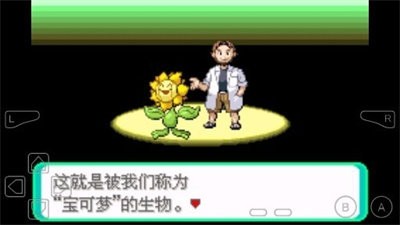 口袋妖怪解放全汉化改版图1