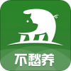 不愁养猪免费版