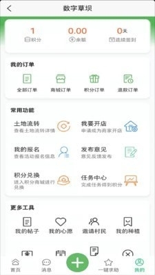数字草坝(4)