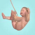 生命起源游戏安装包