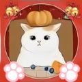 小小收纳整理大师通用版