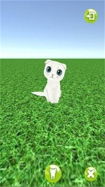 一起来捉猫手游版