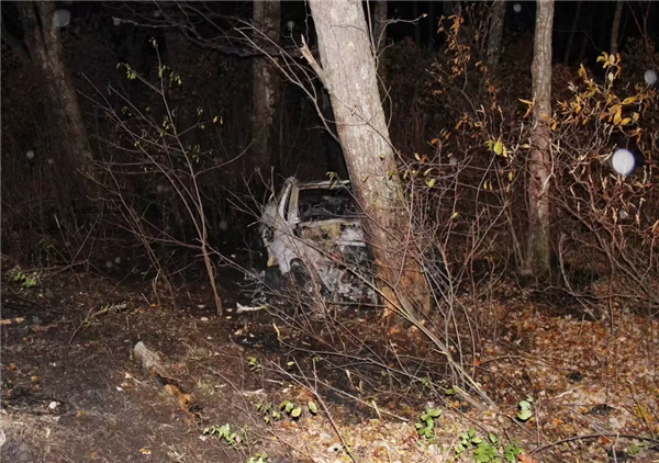 特斯拉ModelY发生车祸起火，车门无法打开，20岁男子报警后不幸身亡