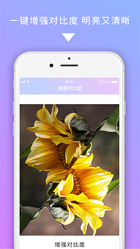 图修最新版图3