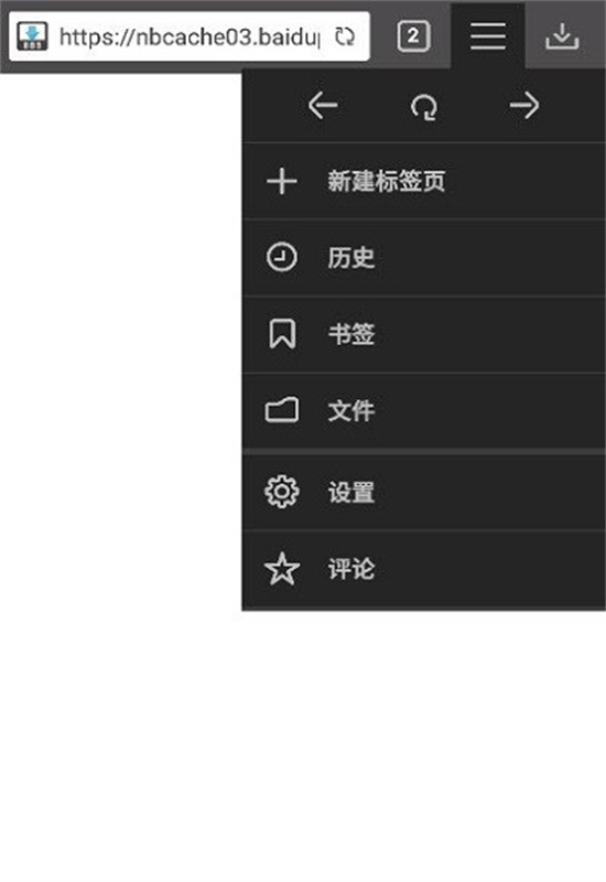 Downloader手机版(3)