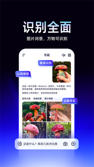 千问安卓版图2