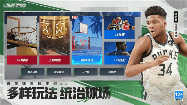 热血美职篮游戏正版图4