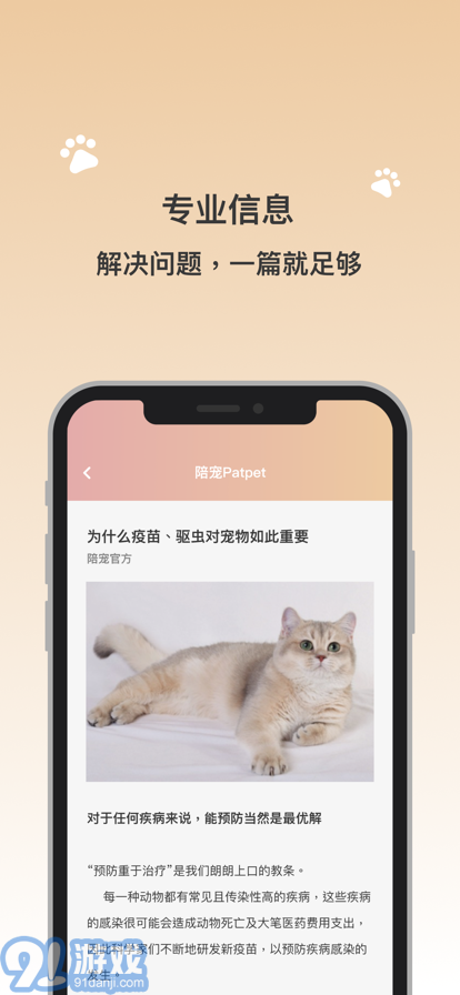 陪宠图3