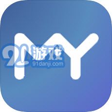 玛雅固定资产
