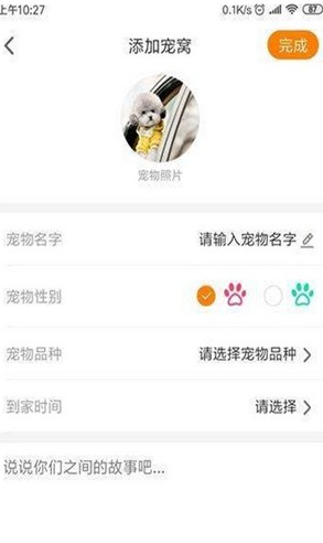 安心宠官方最新版图3