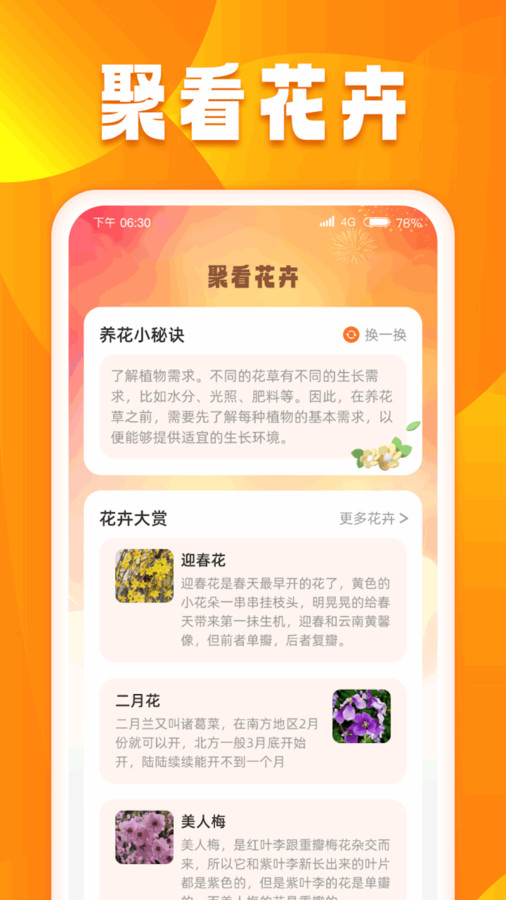 口袋聚看正版图3