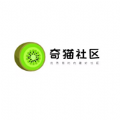 奇猫社区手机版
