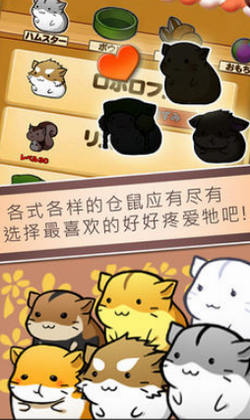 仓鼠生活手游无广告版图2