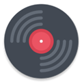 Vinyl Music Player