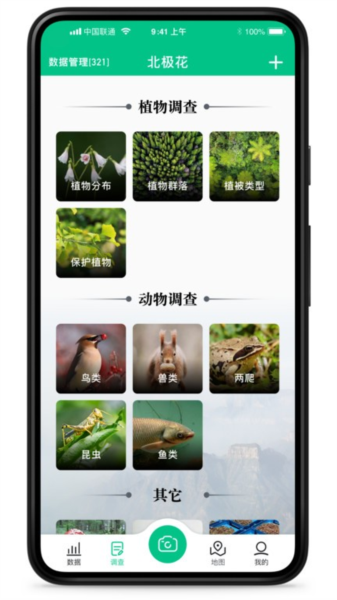 北极花生物调查(3)