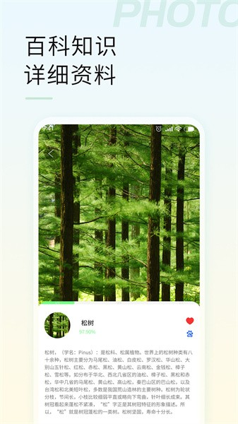 智能拍照识物app图4