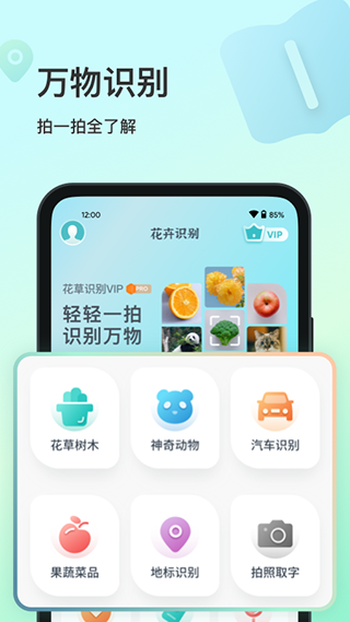 花卉识别(3)