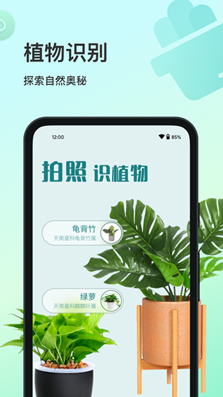 花卉识别(5)