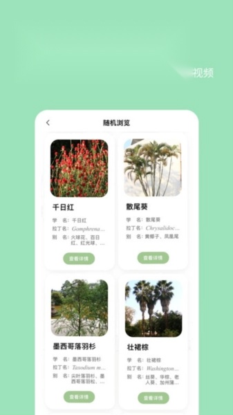 绿图app