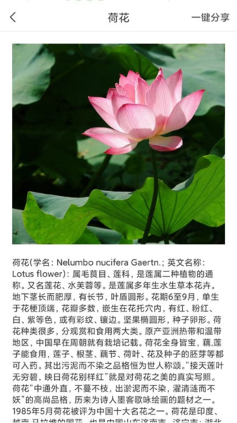 拍照识物全能王app最新版