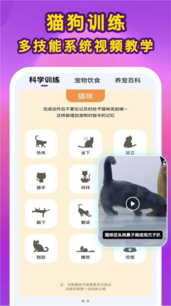 啵啵猫狗语音APP