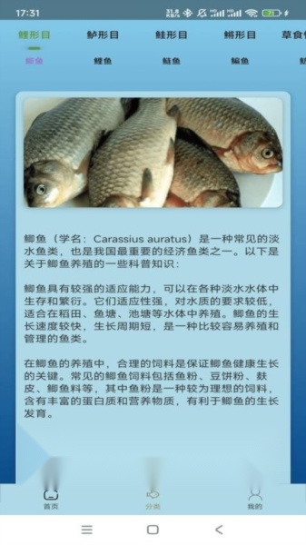 点点养殖