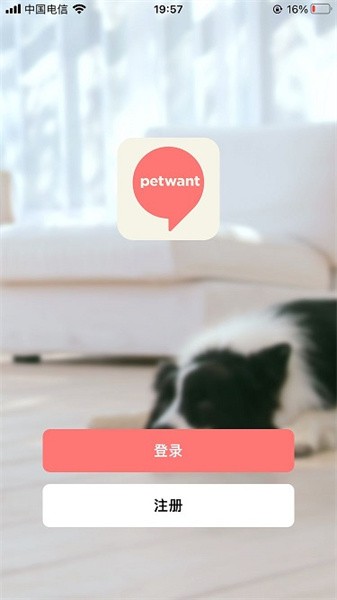 派旺智能宠物喂食器