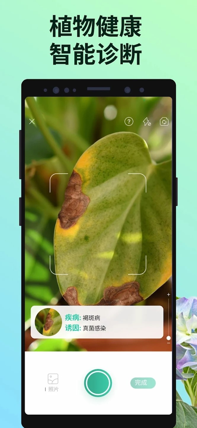 PictureThis图3